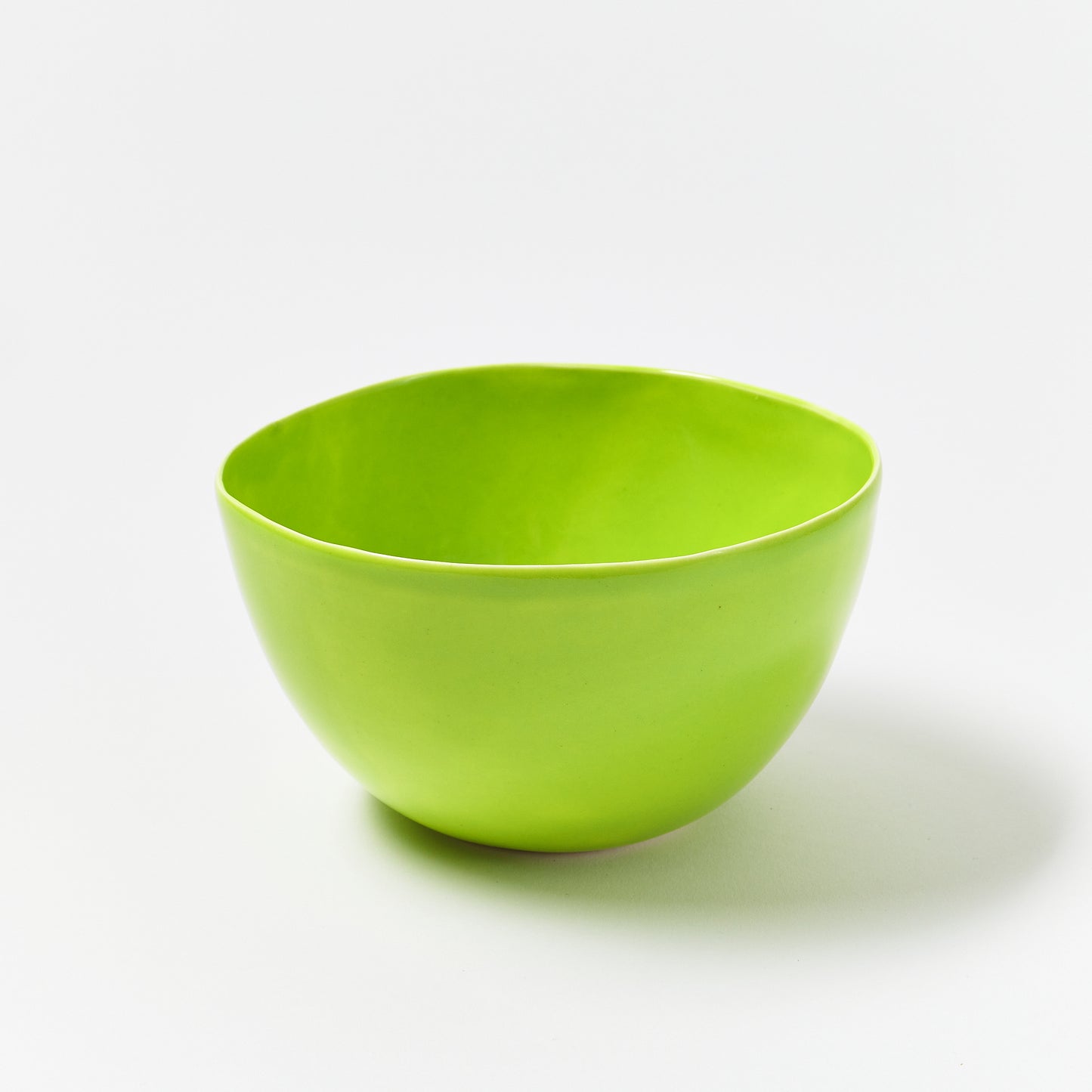 Udon Bowl