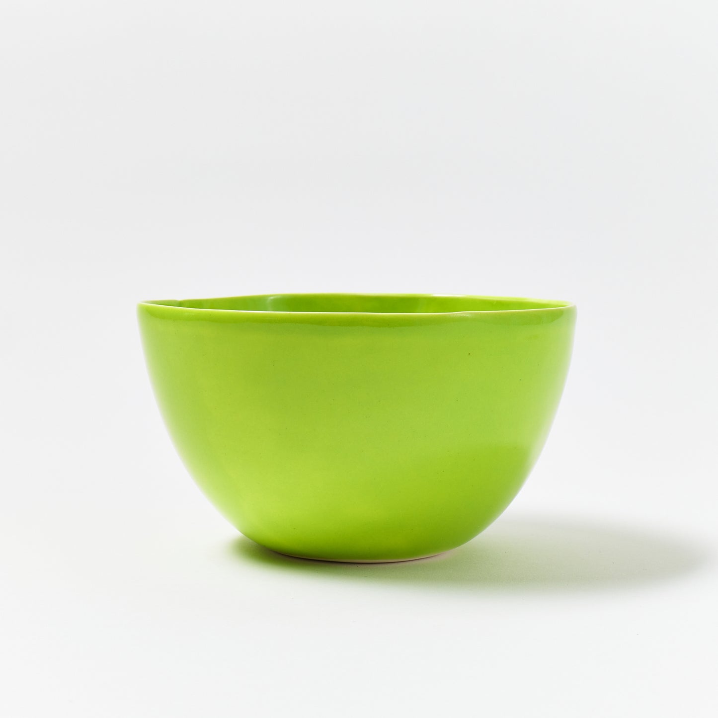 Udon Bowl