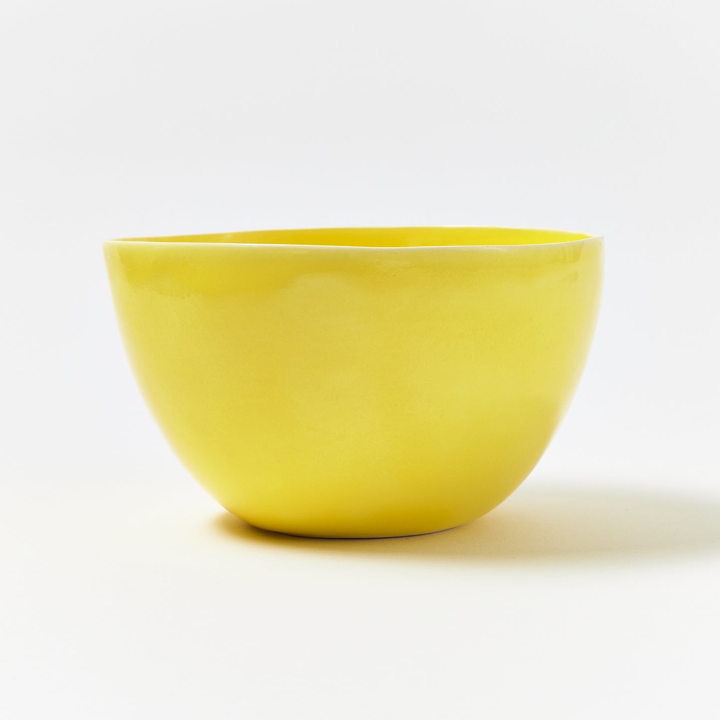Udon Bowl