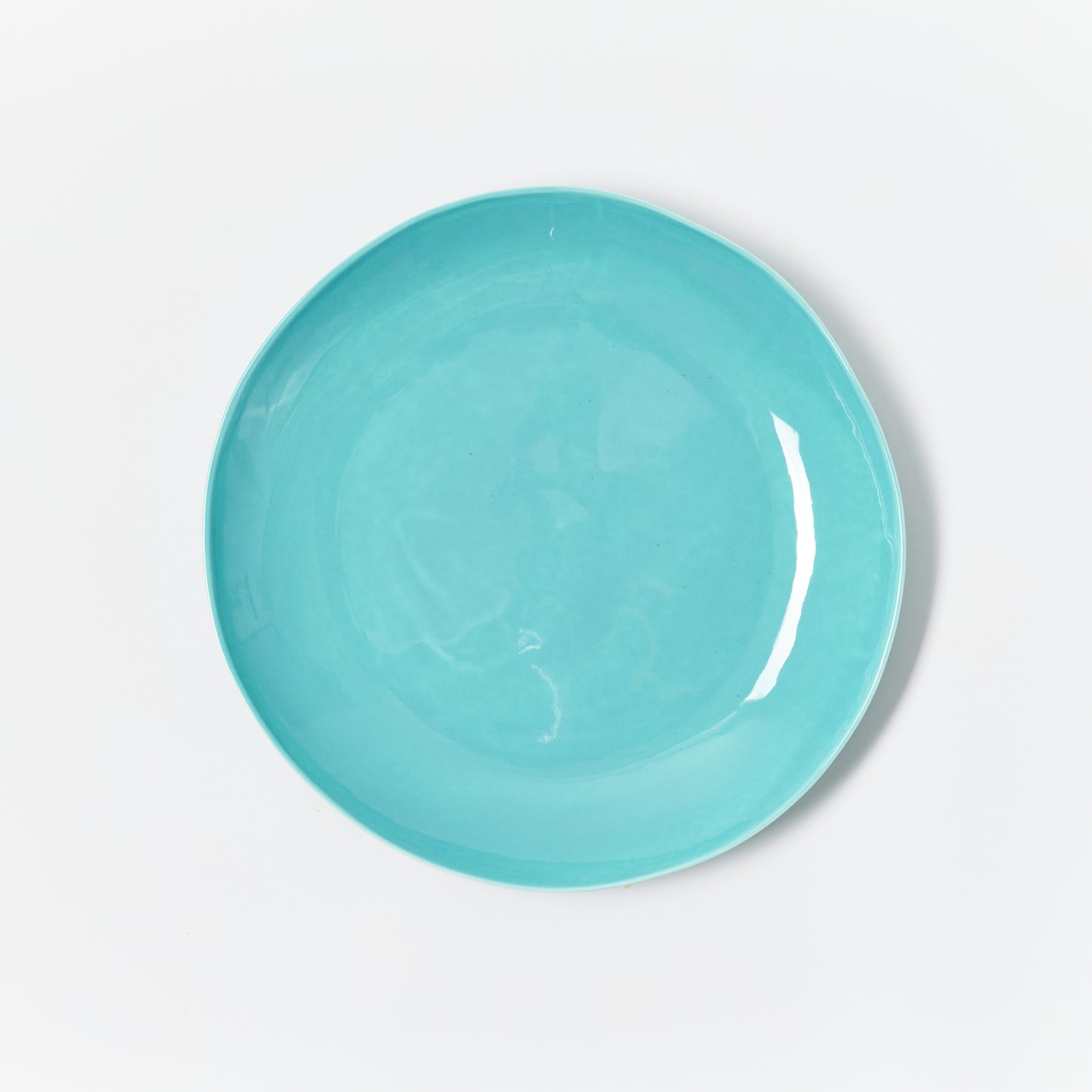 Dinner Plate